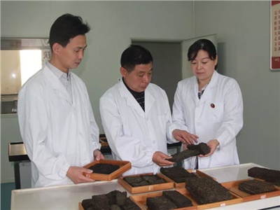 傳承茯茶非遺技藝、開拓創(chuàng)新引領(lǐng)行業(yè)發(fā)展