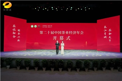 【聚焦第二十屆中國茶業(yè)經(jīng)濟(jì)年會(huì)】益陽茶廠榮獲“民族團(tuán)結(jié)互助企業(yè)”、“2024年度茶業(yè)重點(diǎn)企業(yè)”榮譽(yù)稱號(hào)